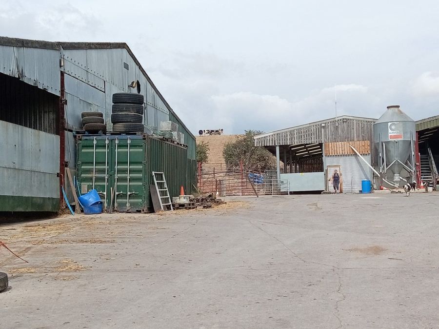 The yard at Morton Farm, Thornbury, with barns either side and cows grazing on the browned-off hill behind
