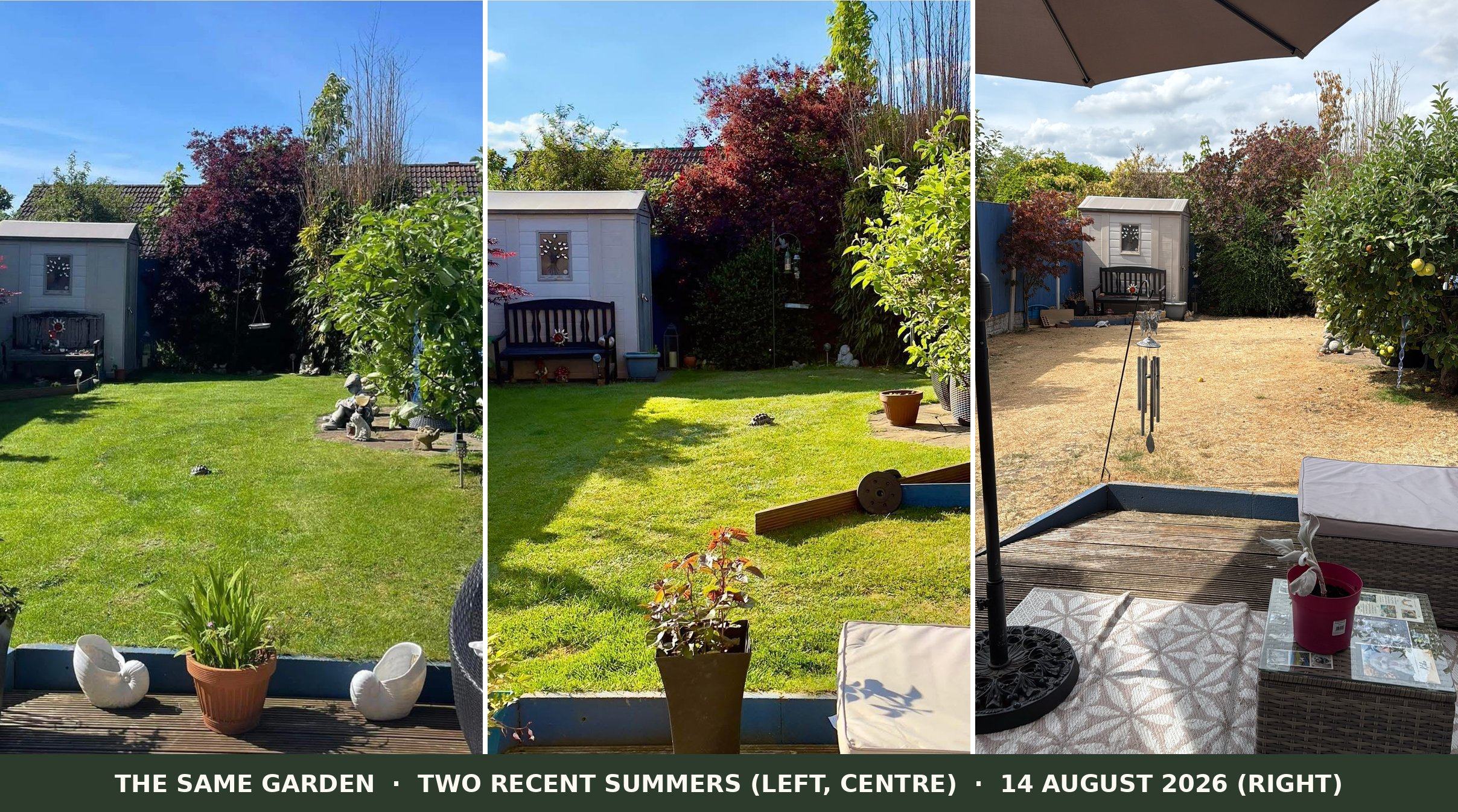 Three photos of the same garden side by side. The first two show a green lawn in earlier summers. The third, taken on 14 August 2026, shows the same lawn scorched dry and straw coloured.